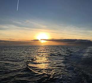 MS Helgoland