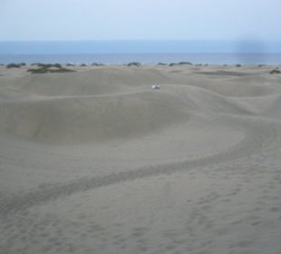 Dünen von Maspalomas
