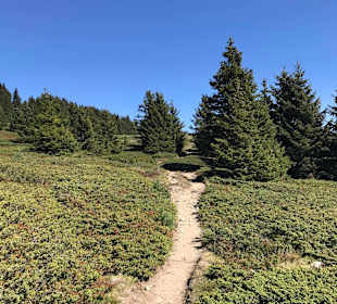 Wandern Hafling