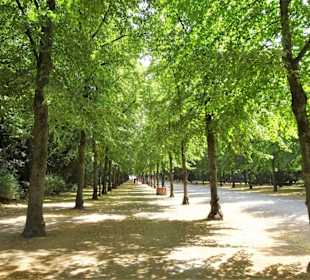 Rundgang durch den Hofgarten Düsseldorf