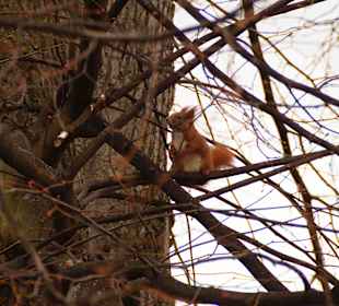 Anlage Planten un Blomen