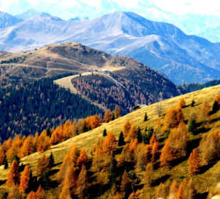Herbstliche Pracht auf dem Gitsch