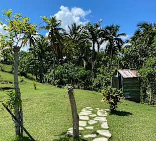 Toilettenhäuschen alà Natura