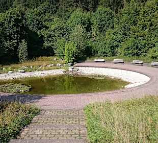 Schöner Teich mit diversen großen Fischen