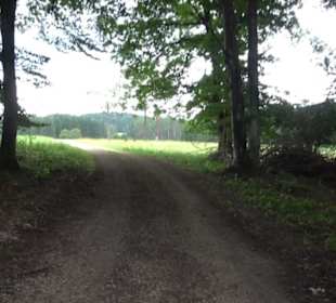 Wanderung Froschteich-Tour
