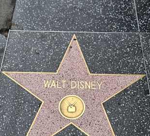 Walt Disney