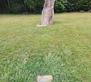 Seewoog in Ramstein-Miesenbach