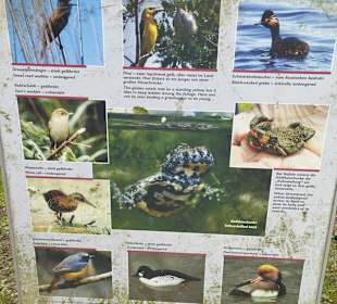 Neues Schloss Herrenchiemsee