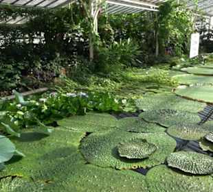 Gewächshäuser Botanischer Garten