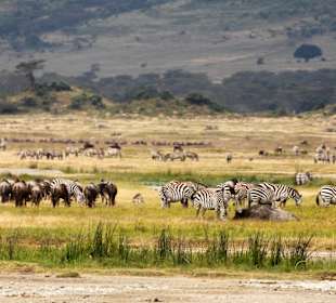 Ngorongoro Reservat