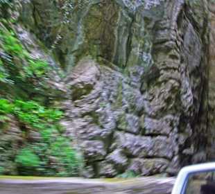 Viel Efeu an den Felshänge