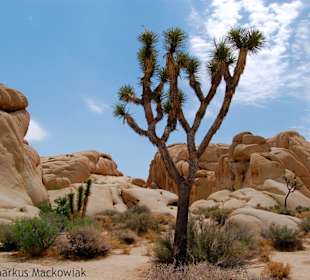 Beeindruckende Landschaft