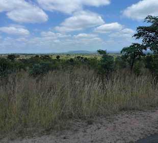 Krüger Nationalpark