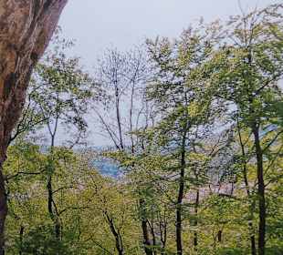 Ausblick von einer Höhle im Geopark