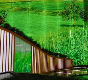 "Nur Alem" Museum für Zukunftsenergien in Astana