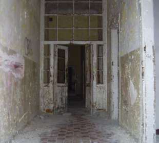 Zakład dla Nerwowo i Psychicznie Chorych Żydów Zofiówka