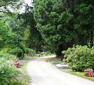 Eindrücke vom Düsseldorfer Nordfriedhof