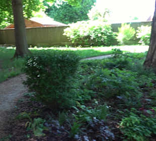 Schneidt'scher Garten