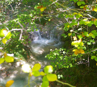 Горный нацпарк Истоки реки Уредерра, Наварра