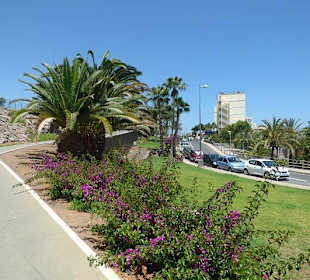 In San Agustin
