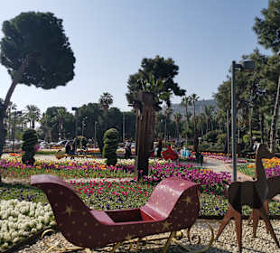 Stadtrundfahrt Alanya