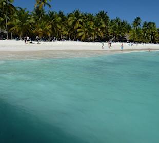 Saona