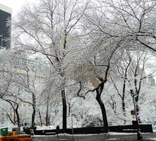 Verschneiter Central Park