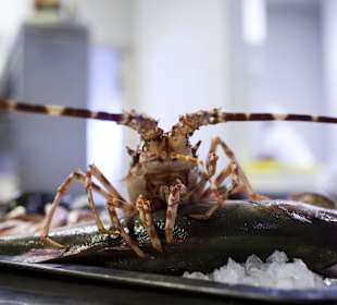 Ristorante Soleiado Rimini ristorante restaurant