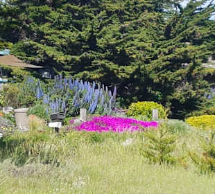 Stadtrundgang Cambria