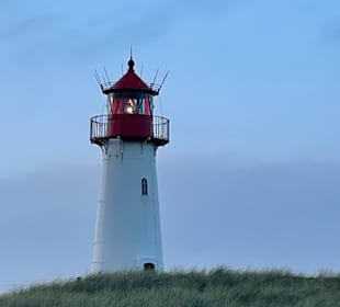 Wandern Gemeinde Sylt [Sylt]