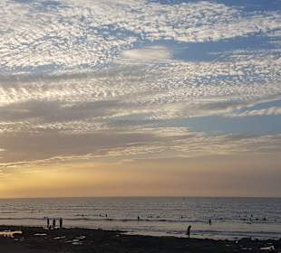 Playa Jardín