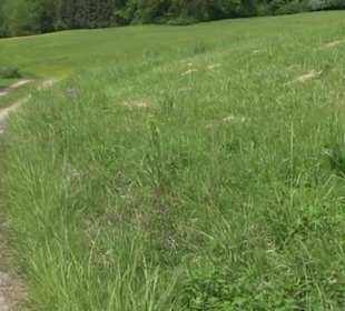 Naturpark Schönbuch