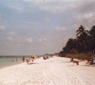 Naples Beach