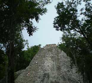 Pyramide Nohoch Mul, mitten im Dschungel