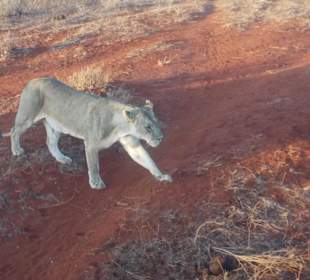 Direkt an uns vorbei marschiert