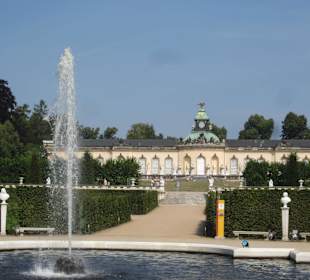 Sanssouci Schloss-/Schlossgartenimpression