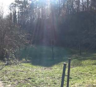 Wanderung Florianrunde