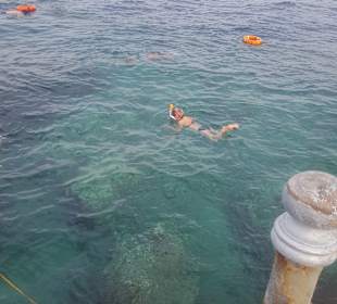 Schnorcheln Nabq Bay