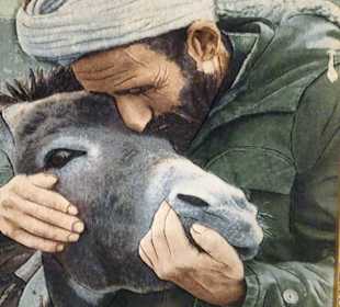 Stadtrundfahrt Dubai