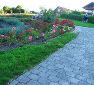 Super schön angelegt Ort Gstadt