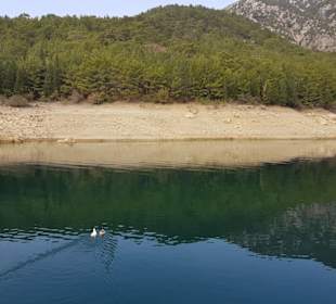 Das Ufer vom Green Lake 