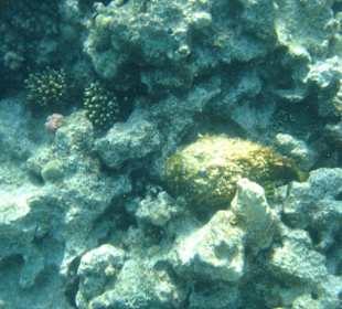 Wunderschöner Ausflug mit SimSim Reisen