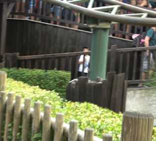 Land der Ritter - Drachenjagd