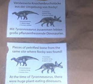 Dinosaurier Museum Altmühltal