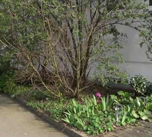 Evangelisches Gemeindehaus Feldstetten