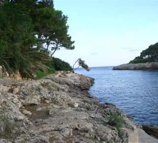 Die Cala Gran