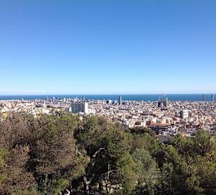 View of the city from the park