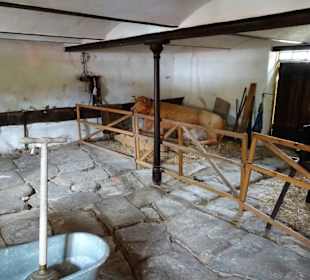 Der Stallbereich im Wohntrakt des Bauernhofes