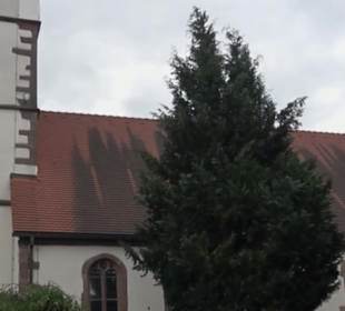 Evangelische Kirche St. Gallus Wittlensweiler