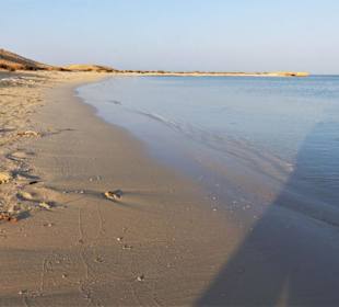 Schnorcheltour am weißen Strand-Sharm El luli